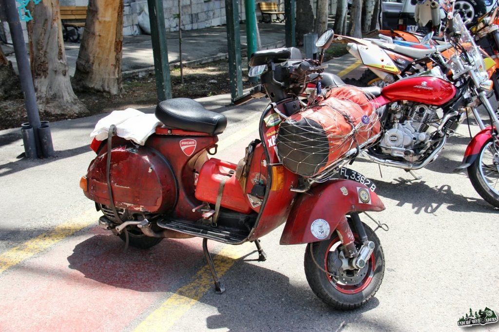 Singaporean traveler (1)