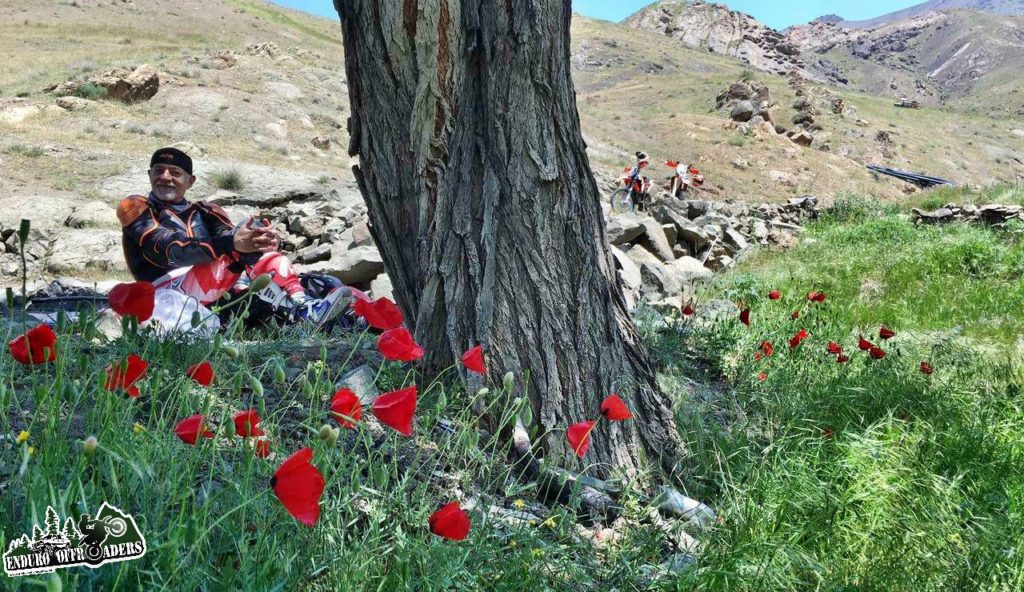 Vardij - 24 Ordibehesht 1395 2016 (6)