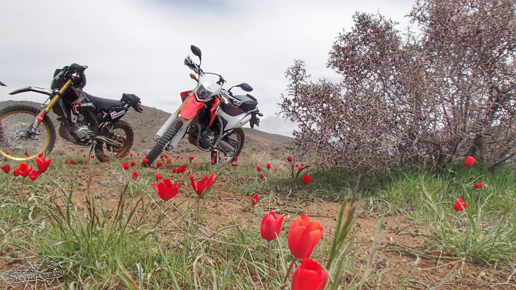 منطقه وردیج - بهار 1399 2020