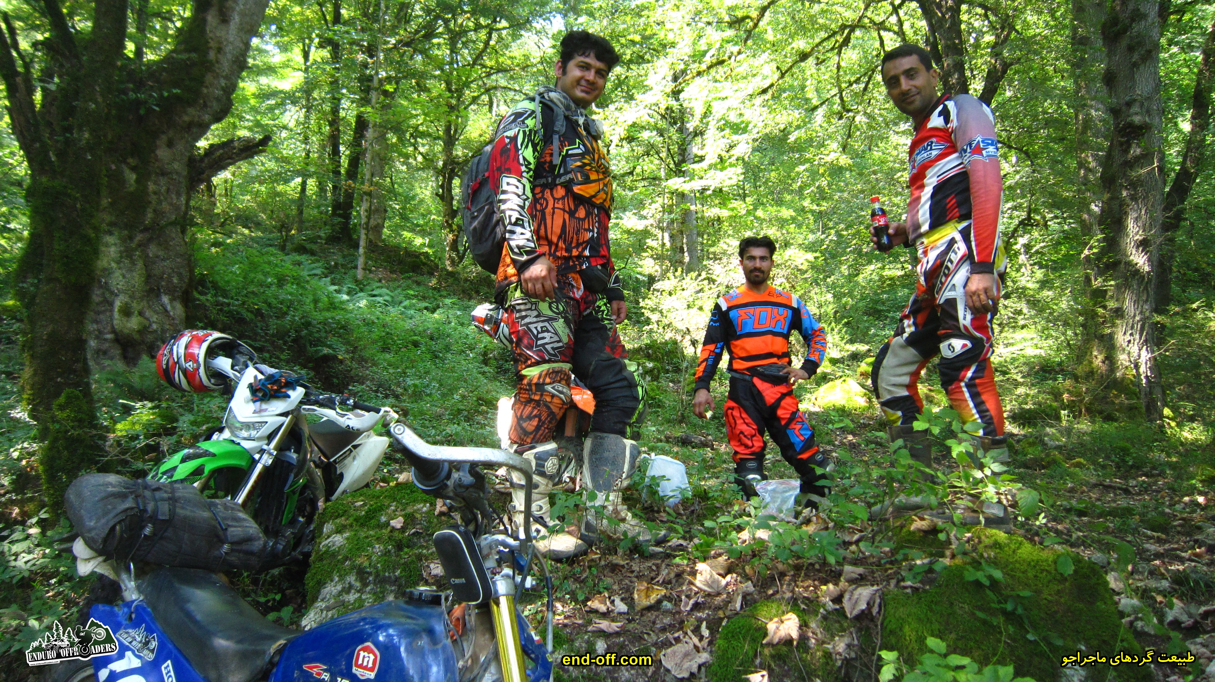 جنگلهای گت کلا - تابستان 1399 - 2020